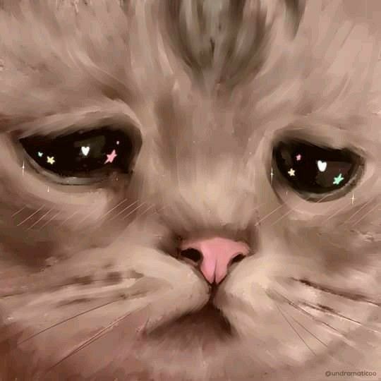 pp wa kucing sad