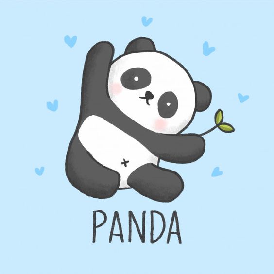 pp wa lucu panda